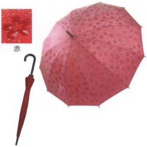 桜が浮き出る傘 赤(24本入)